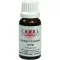 CERES Ginkgo dryopteris comp. gouttes, 20 ml