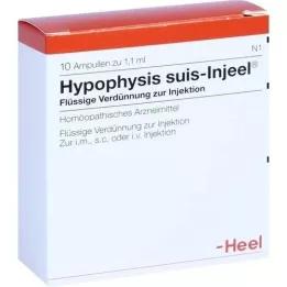 HYPOPHYSIS SUIS Ampoules Injeel, 10 pc