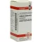 LATHYRUS SATIVUS D 6 globules, 10 g