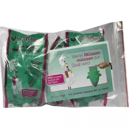 LADYBAG Sacs-WC pour femmes, 3 pcs