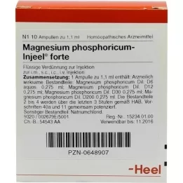 MAGNESIUM PHOSPHORICUM INJEEL ampoules fortes, 10 pc