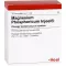 MAGNESIUM PHOSPHORICUM INJEEL ampoules fortes, 10 pc