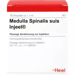MEDULLA SPINALIS Suis Injeel Ampoules, 10 pc