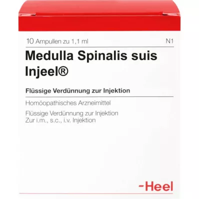MEDULLA SPINALIS Suis Injeel Ampoules, 10 pc
