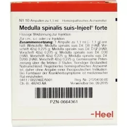MEDULLA SPINALIS Suis Injeel Forte Ampoules, 10 pc