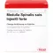 MEDULLA SPINALIS Suis Injeel Forte Ampoules, 10 pc