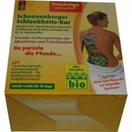 SCHLANKHEITSKUR Schoenenberger fruité, 1 p