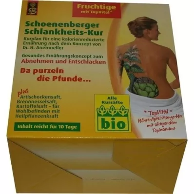 SCHLANKHEITSKUR Schoenenberger fruité, 1 p