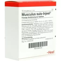 MUSCULUS SUIS Ampoules Injeel, 10 pc