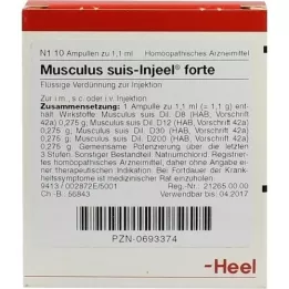 MUSCULUS SUIS Ampoules Injeel Forte, 10 pc