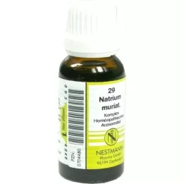 NATRIUM MURIATICUM KOMPLEX Dilution n°29, 20 ml