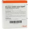 OCULUS totalis suis ampoules Injeel, 10 pc