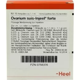 OVARIUM SUIS Ampoules Injeel Forte, 10 pc