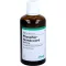 PHOSPHOR HOMACCORD Gouttes, 100 ml
