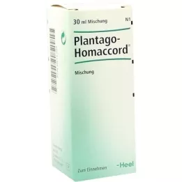 PLANTAGO HOMACCORD Gouttes, 30 ml