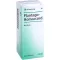 PLANTAGO HOMACCORD Gouttes, 30 ml