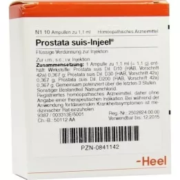 PROSTATA SUIS Ampoules Injeel, 10 pc