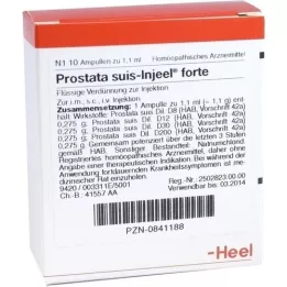 PROSTATA SUIS Ampoules Injeel Forte, 10 pc