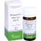 PFLÜGERPLEX Rhus tox.353 H comprimés, 100 pc