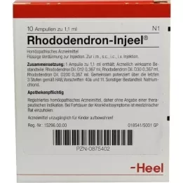 RHODODENDRON INJEEL Ampoules, 10 pc