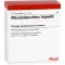 RHODODENDRON INJEEL Ampoules, 10 pc