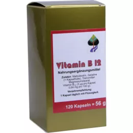 VITAMIN CAPSULES B12, 120 pc