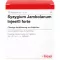 SYZYGIUM JAMBOLANUM INJEEL ampoules fortes, 10 pc