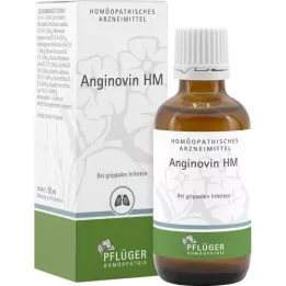 ANGINOVIN HM Gouttes, 50 ml