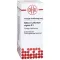 STIBIUM SULFURATUM NIGRUM Dilution D8, 50 ml