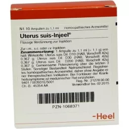UTERUS SUIS Ampoules Injeel, 10 pc
