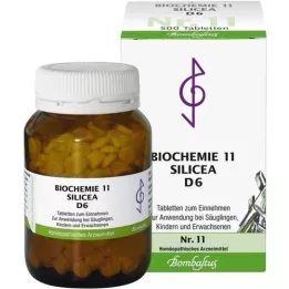 BIOCHEMIE 11 comprimés Silicea D 6, 500 pc