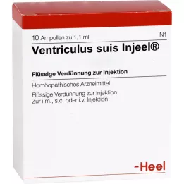 VENTRICULUS SUIS Ampoules Injeel, 10 pc