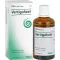 VERTIGOHEEL Gouttes, 100 ml