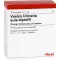 VESICA URINARIA ampoules suis-Injeel, 10 pc