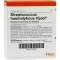 STREPTOCOCCUS HAEMOLYTICUS Ampoules Injeel, 10 pc