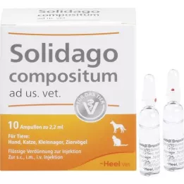SOLIDAGO COMPOSITUM ad us.vet.ampoules, 10 pc