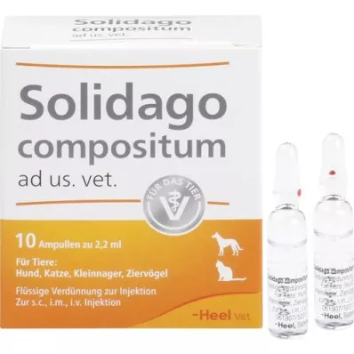 SOLIDAGO COMPOSITUM ad us.vet.ampoules, 10 pc SOLIDAGO COMPOSITUM ad us.vet.ampoules, 10 pc