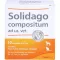 SOLIDAGO COMPOSITUM ad us.vet.ampoules, 10 pc