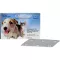 CAPSTAR Comprimés de 11,4 mg pour chats/petits chiens, 6 pc