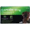 CAPSTAR Comprimés de 57 mg pour grands chiens, 6 pc