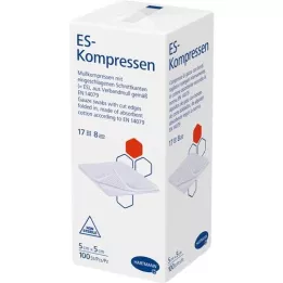 ES-KOMPRESSEN non stérile 5x5 cm 8 fois, 100 pc