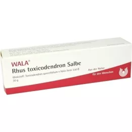 RHUS TOXICODENDRON POMMADE, 30 g