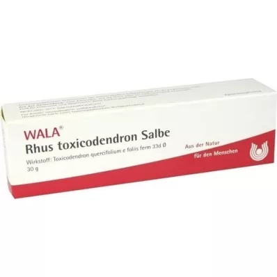 RHUS TOXICODENDRON POMMADE, 30 g