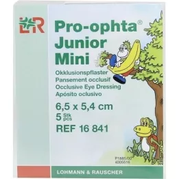 PRO-OPHTA Mini plâtre docclusion junior, 5 pcs