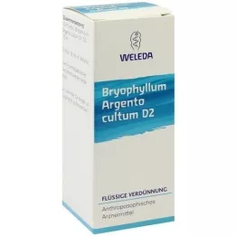 BRYOPHYLLUM ARGENTO cultum D 2 dilution, 50 ml