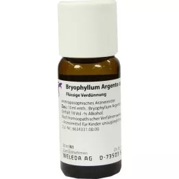 BRYOPHYLLUM ARGENTO cultum D 3 dilution, 50 ml
