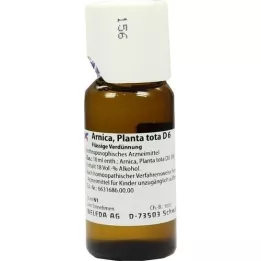 ARNICA PLANTA dilution totale D 6, 50 ml