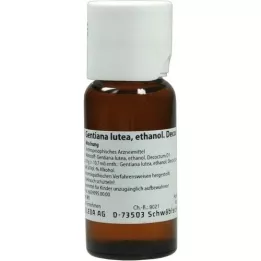 GENTIANA LUTEA Mélange à 5 %, 50 ml