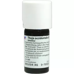 THUJA OCCIDENTALIS Teinture mère, 20 ml