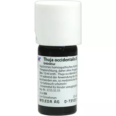 THUJA OCCIDENTALIS Teinture mère, 20 ml